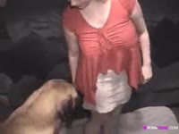 Kinky slut taming dog to get banged in the pussy